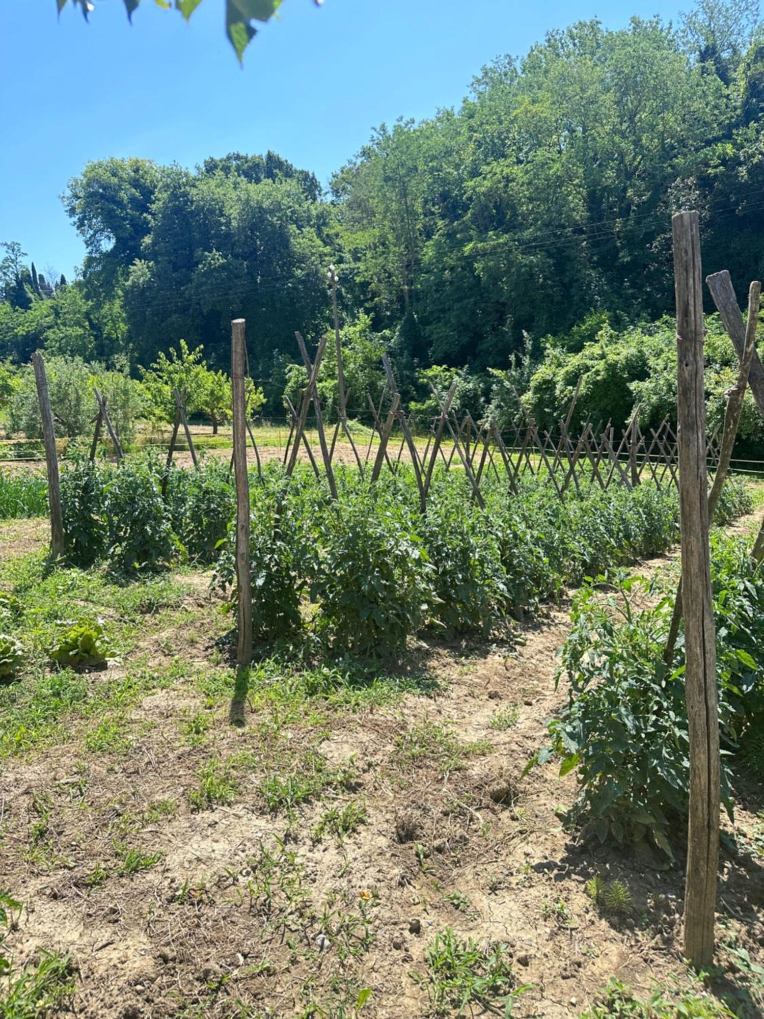 Agriturismo San Biagio Villa Montepulciano Stazione Eksteriør billede