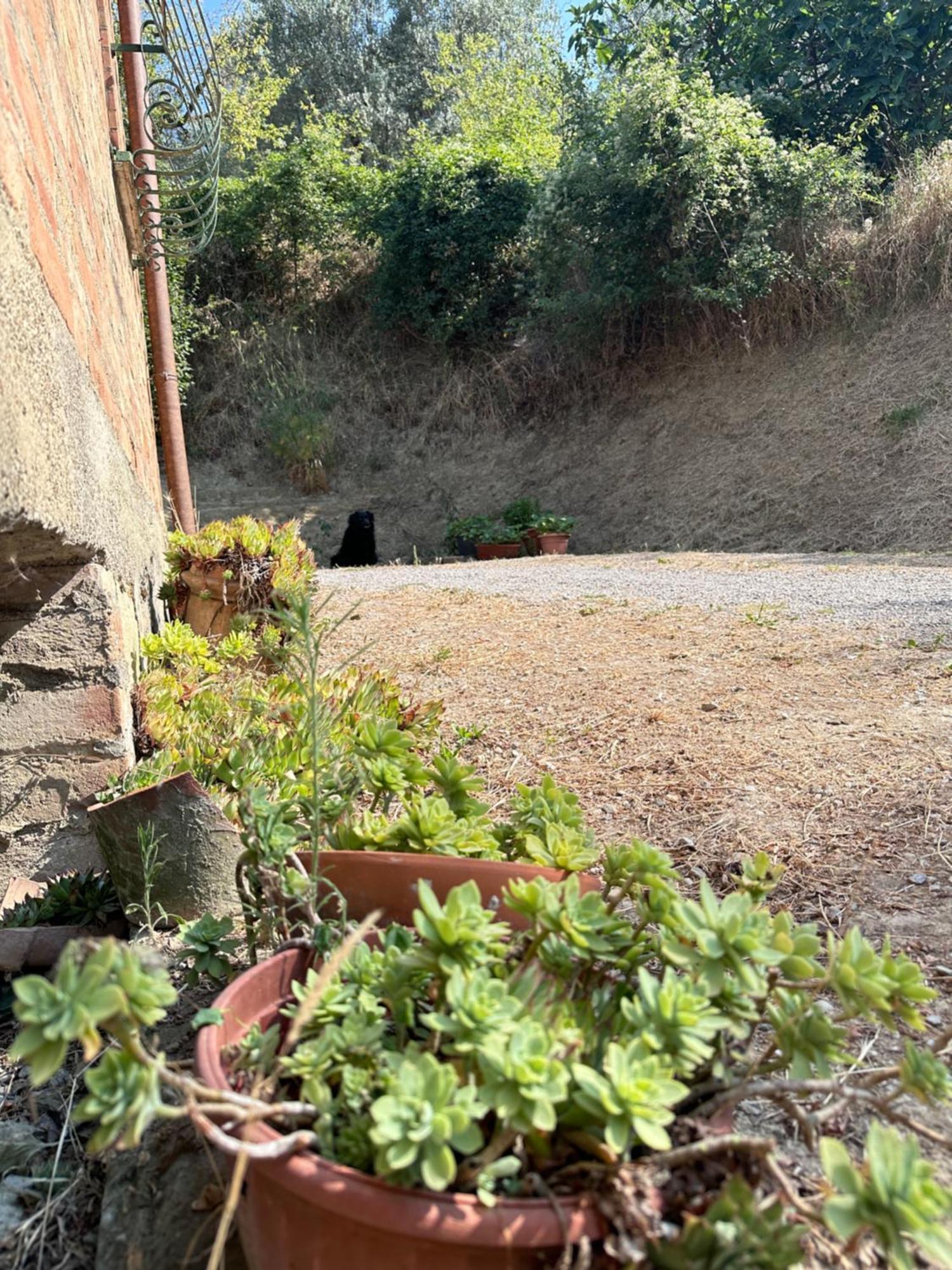 Agriturismo San Biagio Villa Montepulciano Stazione Eksteriør billede