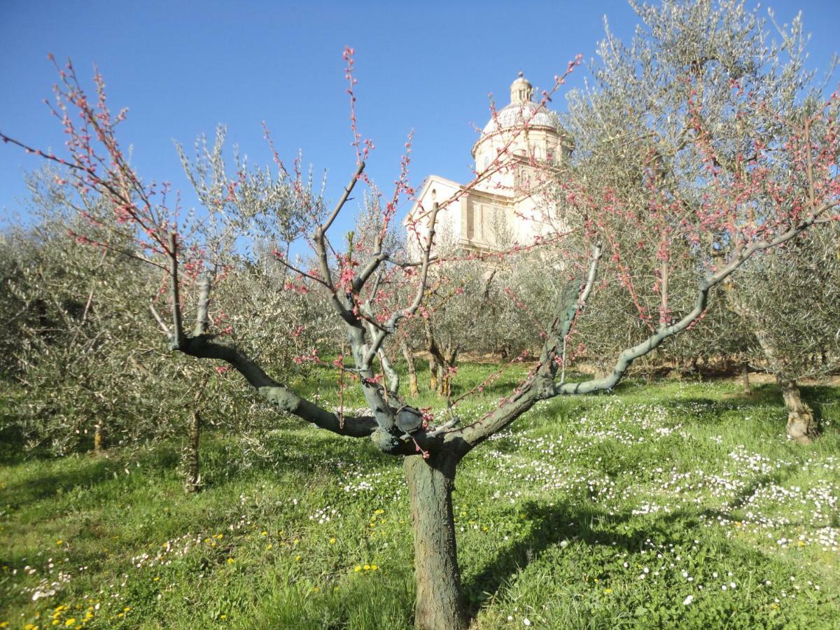 Agriturismo San Biagio Villa Montepulciano Stazione Eksteriør billede